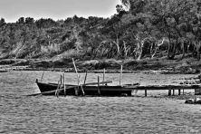 ponton et barque.jpg
